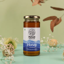 Load image into Gallery viewer, Eucalyptus Honey | Single Origin Honey by Pahadi Source
