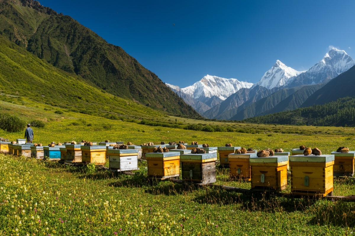 Indian honey vs imported - Pahadi Source