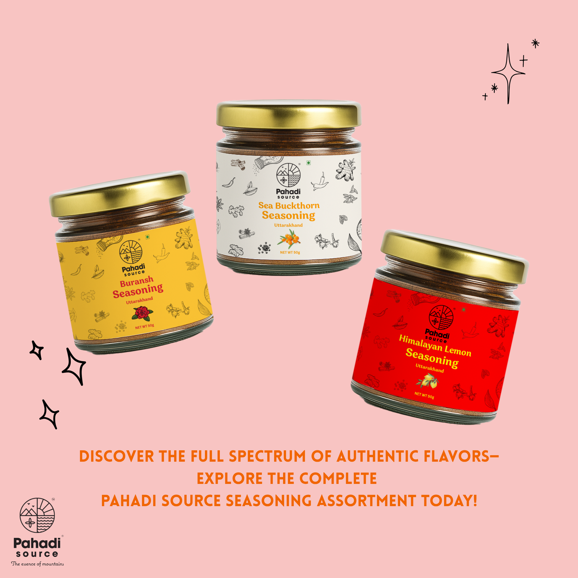 Sea Buckthorn Seasoning by Pahadi Source | 50gm