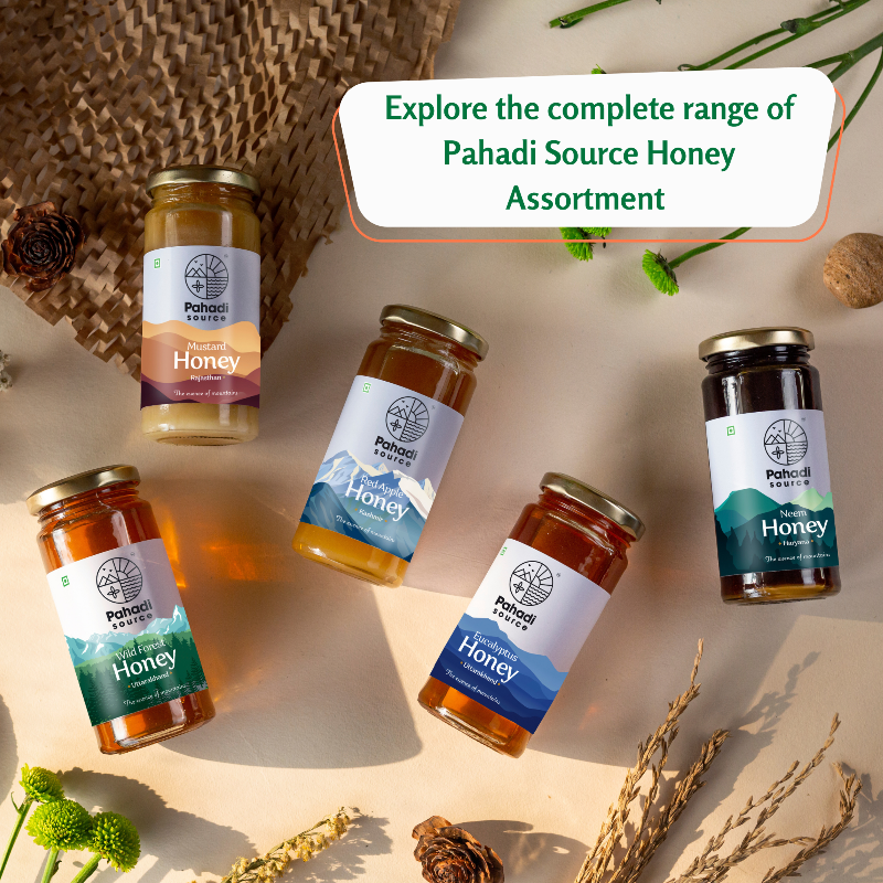 Wild Forest Raw Honey | 100% Raw Multi-Origin Himalayan Honey – Pahadi Source