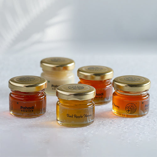 Assorted Flavor Tasters by Pahadi Source (30g x 5)